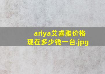 ariya艾睿雅价格现在多少钱一台