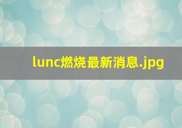 lunc燃烧最新消息