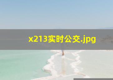 x213实时公交